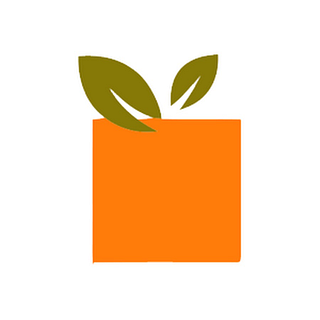 BigOrange Marketing logo